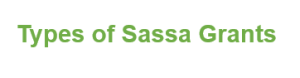 Types Of Sassa Grants