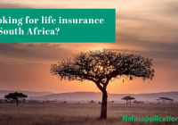 How much life insurance do I need in South Africa?