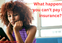 What happens if you can't pay life insurance?