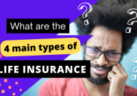 What are the 4 main types of life insurance?