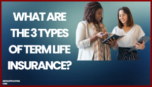 What are the 3 types of term life insurance?