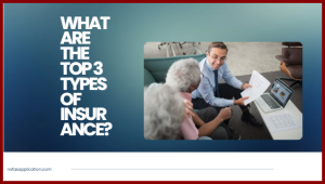 What are the top 3 types of insurance? 