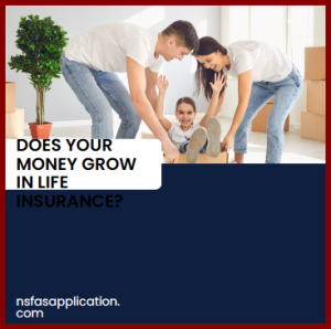 Does your money grow in life insurance?