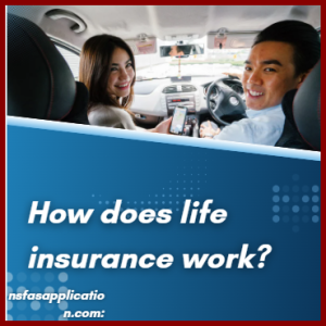 How does life insurance work?