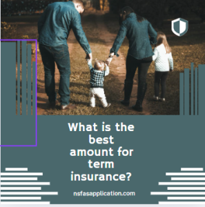 What is the best amount for term insurance?