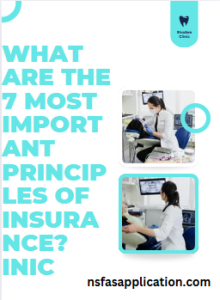 What are the 7 most important principles of insurance?