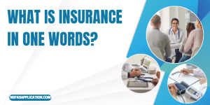 What is insurance in one words?