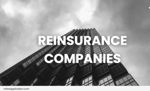 List Of Reinsurance Companies In South Africa 2025-2026