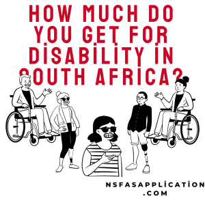 How much do you get for disability in South Africa?