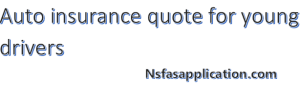Auto insurance quote for young drivers
